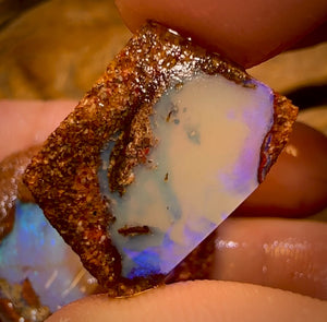 33.7cts - 3x Queensland Boulder Pipe Opal Rough Pieces