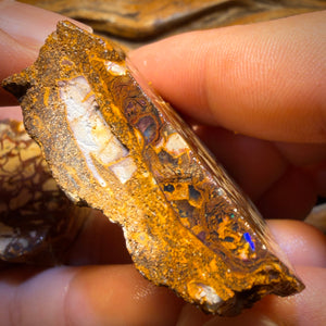 311.9cts - Tribal Yowah Nut Opal Rough Pair. Australian Opal