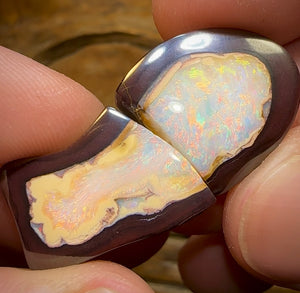 38.7cts - 2 Kernel Fish Yowah Nut Crystal Centre Pair. Heritage Collection - Opal Whisperers