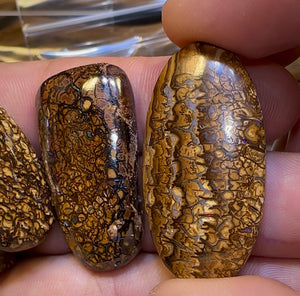 Tribal Boulder Opal Parcel. BULK LISTING - 5 FOR $350 PLUS 6th ONE FREE!!! - Opal Whisperers