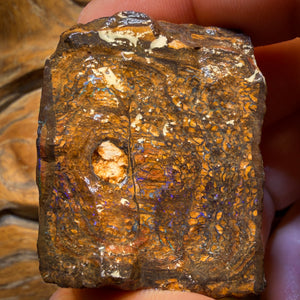 377.3cts - Top Seam + Tribal Queensland Boulder Opal Rough Piece