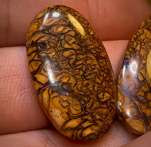 46.2cts - Loose Queensland Boulder Opal Set