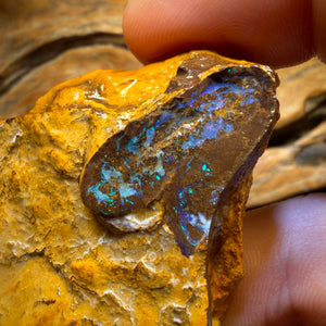 285cts - Yowah Opal Rohstück. Biskuitband