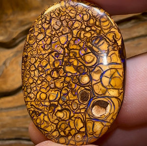 48.7cts - āPineappleā Yowah Nut Tribal Opal., Double Sided - Opal Whisperers