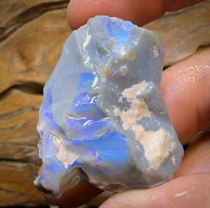 115.8cts - Large Lightning Ridge Opal Rough Piece. GEM lCutter!