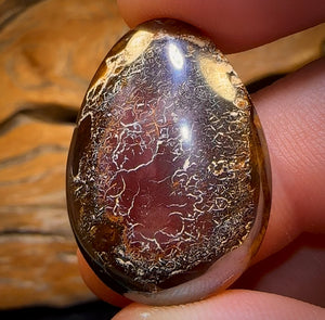 🔨 AUCTION 🔨 No Reserve 30.9cts - Tribal Australian Boulder Opal from Koroit