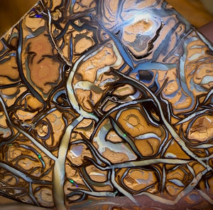 113.1cts - Top Tribal Magic Koroit Nut Australian Opal. - Opal Whisperers