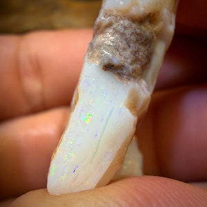 75.1cts - 3x South Australian White Opal Rough Parcel