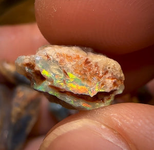 57.9cts - 9x Opalised Fossil Geological Specimens from Lightning Ridge