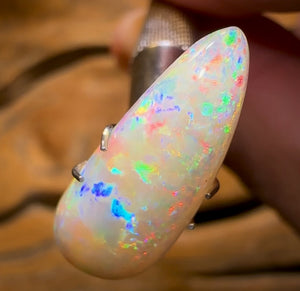 4.15cts - Rare Polished Opalised Shell Fossil from South Australia