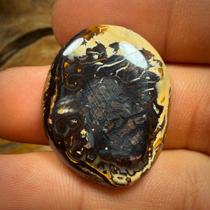 38.2cts - Yowah Nut Kernel Opal. Australian Boulder Opal