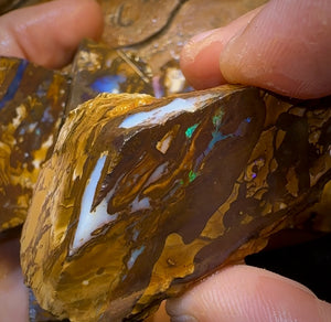 1017cts - 5x Queensland Boulder Rough Opal Parcel