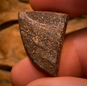 18.8cts - GEM Queensland Boulder Seam Opal. MULTICOLOURS! Banger