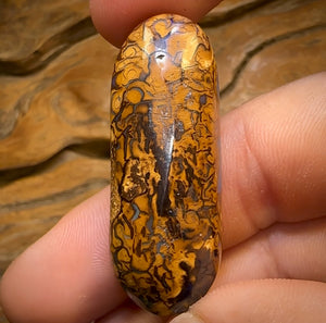 69.2cts - Yowah Nut Tribal Opal w/ Partial Crystal Centre!