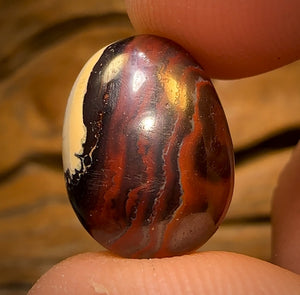 9.6cts - RARE Yowah Nut Crystal Centre Opal