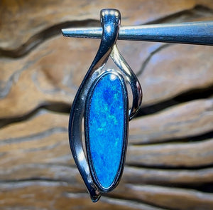 Opal Whisperers Voice Or Full Assessment Certification - Opal Whisperers