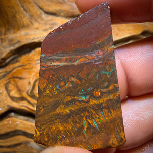 Wild Card! 146.6cts - Tribal Yowah Nut Opal Rough Slab