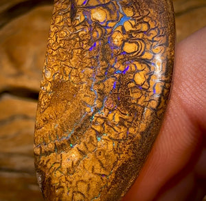 Auction Fall-Through = Your Gain! 🔥 Now More Than 50% Off RRP 🚨 48.4cts - Queensland Boulder Opal from Yowah