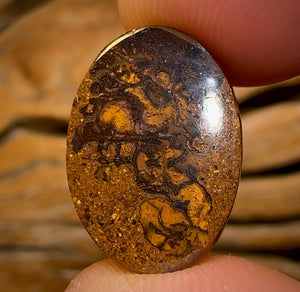 12.9cts - Tribal Queensland Boulder Opal from Yowah with Red