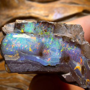 “Set in Stone” - Private Collector Acquisition- “Genesis” 247.1cts - Top Australian Boulder Seam Opal Specimen Polished