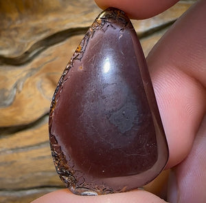 79.2cts - Top Tribal Koroit Black Nut Opal - Opal Whisperers