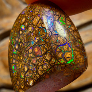 27.3cts - Tan Tribal Queensland Boulder Opal from Yowah. Electric Green