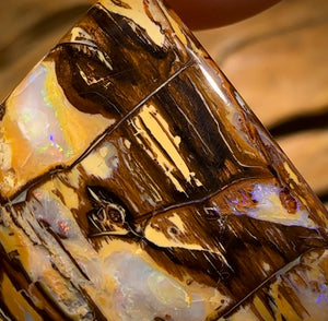 58.6cts - Australian Boulder Wood Fossil Opal Cathedral Type Pattern