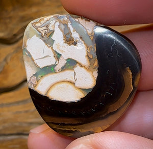 60.2cts - Yowah Nut “Porcelain Swan” White / Tan Tribal Opal. Australian Opal - Opal Whisperers