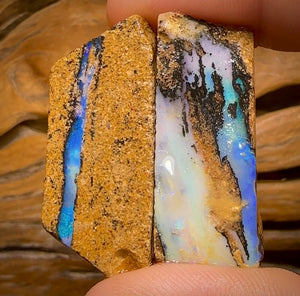 Bargain card! 85.1cts - 2x Queensland Boulder Pipe Opal Rough Pieces