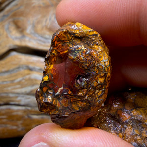 TGIF 482.9cts - 5x Yowah Nut Opal Rough Parcel. Australian Boulder Opal