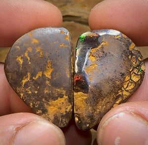 78.5cts - Intricate Tribal Pattern Yowah Nut Opal Pair - Opal Whisperers