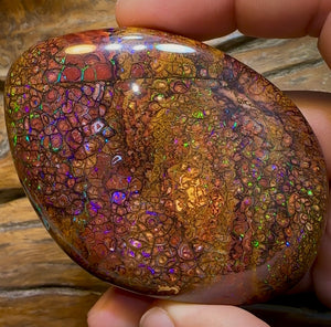 546.6cts - Huge Polished Tribal Yowah Nut Opal Specimen - Opal Whisperers
