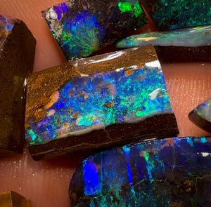 82.8cts - 8x High Quality Australian Boulder Opal Preform Rubs
