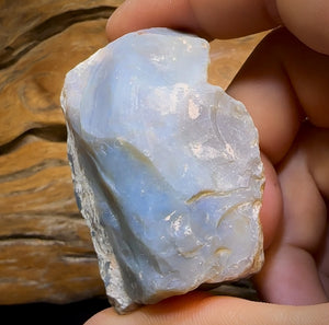 Auction Fall-Through = Your Gain! 🔥 Now More Than 50% Off RRP 🚨 310.5cts - LARGE Lightning Ridge Black Potch Opal Rough Piece