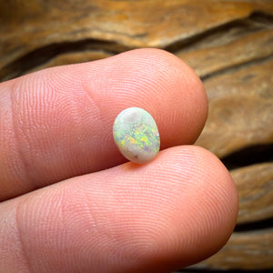 Half Price Card! 0.9cts - Lightning Ridge Crystal Opal