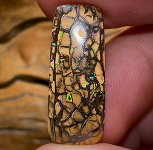16.6cts - Yowah Nut Tribal Opal - Opal Whisperers