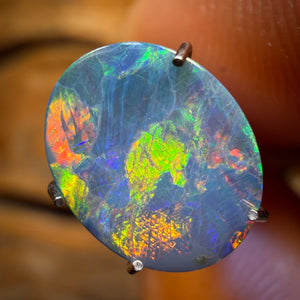 🔨 AUCTION 🔨 1.4cts - Australian Boulder Opal Doublet