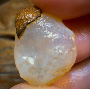 22.6cts - Rare Yowah Nut Crystal Centre Opal Rough Geological Specimen. Naturally Deshelled Wow!