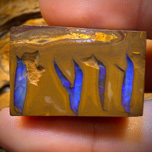 199.2cts - Found whilst Filming for Discovery Channel Duck Creek Boulder Opal Rough Preform