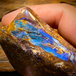 755.5cts - Vegetation Fossil Queensland Boulder Opal. Polished Specimen