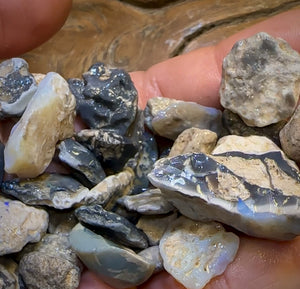 278.7cts - 36x Lightning Ridge Opal Rough Parcel. Potch and Colour