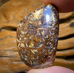 35.9cts - “Cool Concave” Tribal Queensland Boulder Opal. Double Sided!