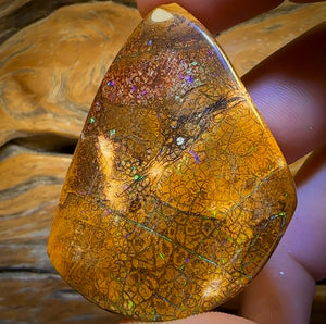 235cts - Tan Tribal Queensland Boulder Opal. Polished Specimen