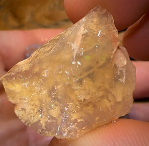 97.8cts - 4x Opalised Shell Geological Specimens from Lightning Ridge