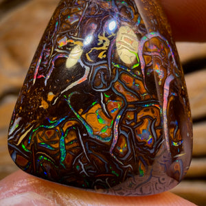 69.3cts - TopTribal Queensland Boulder Opal from Yowah Red Multi