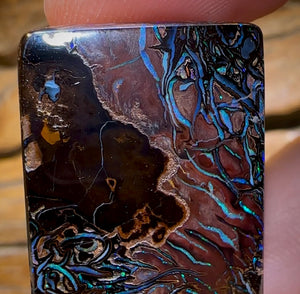 73.2cts - Tribal Queensland Boulder Opal from Koroit - Opal Whisperers