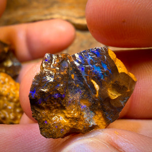 Bargain Card! 206.4cts - 5x Australian Boulder Opal Rough Parcel