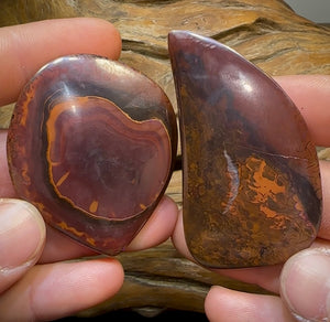 342.7cts - Yowah Nut Opal Specimen Pair. TRIBAL PATTERN - Opal Whisperers