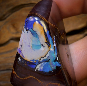 260.1cts - Yowah Nut Kernel Opal. Polished Specimen