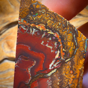 🔨 AUCTION 🔨 257.2cts - Tribal Yowah Nut Picture Stone Opal Rough Piece